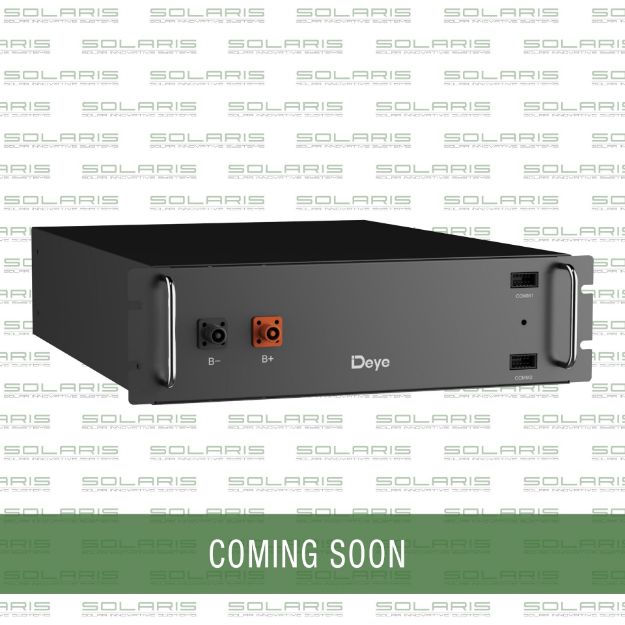 BAT-DEYE-LI-HVBW-100