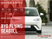 EV-BYD-SEAG-F-24-W